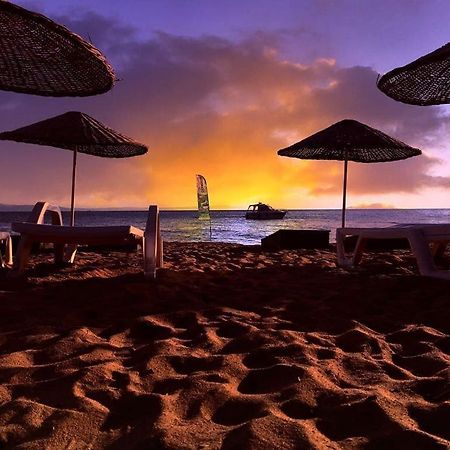 Cicek Evler Tatil Koeyue Hotel Armutlu Kültér fotó