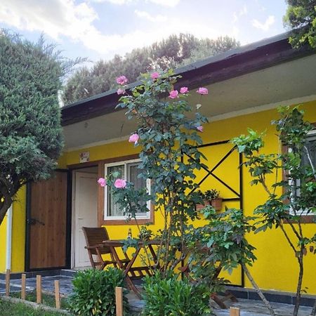 Cicek Evler Tatil Koeyue Hotel Armutlu Kültér fotó